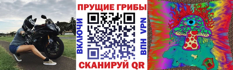 Псилоцибиновые грибы Cubensis  Давлеканово 
